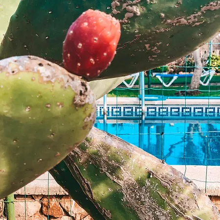 Buganvilla Es Trenc Hébergement de vacances
